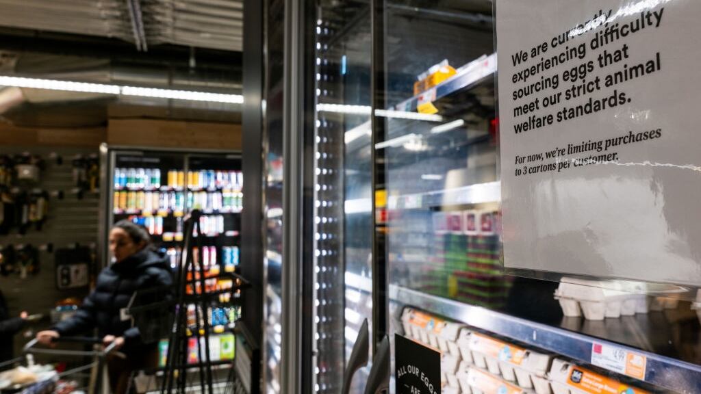 Eggs for sale in a store