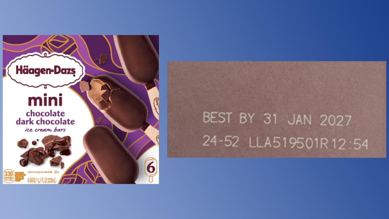 Häagen-Dazs Chocolate Dark Chocolate Mini Bars