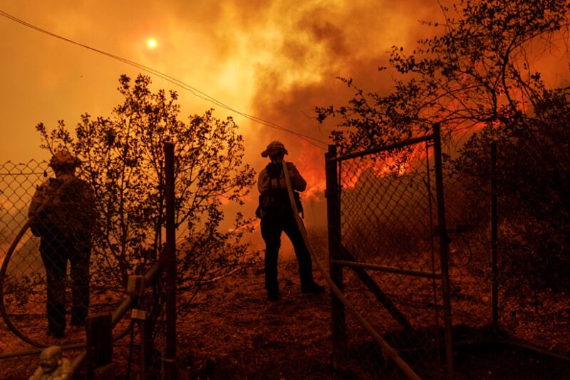 wildfire